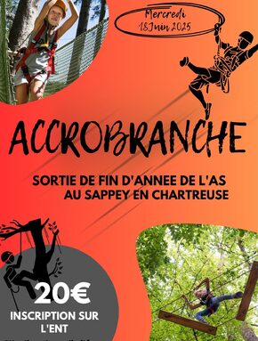 Sortie accrobranche 2025 (1).jpg